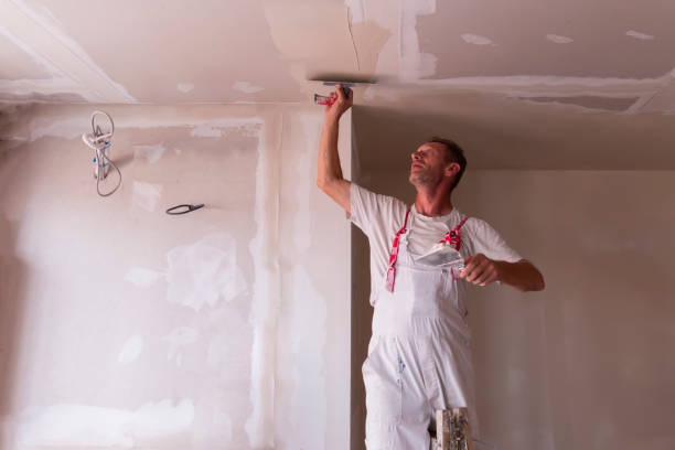 Professional Painting & Drywall Services in Twain Harte, CA